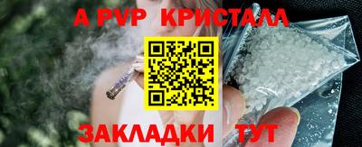 прущие грибы Кингисепп