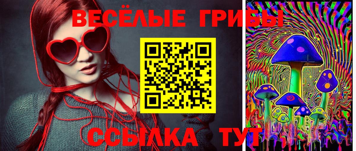 где купить наркотик  Галлюциногенные грибы Psilocybe  Вход с VPN  Вологда 