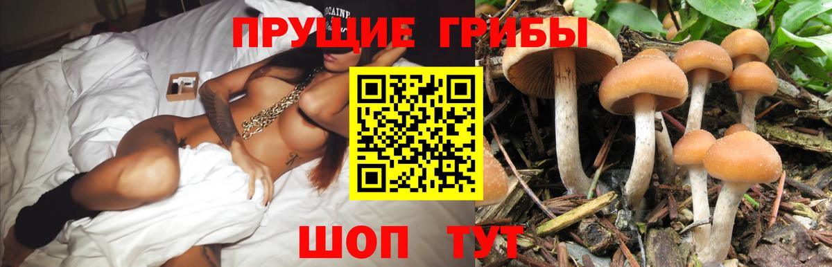 Псилоцибиновые грибы GOLDEN TEACHER Вологда